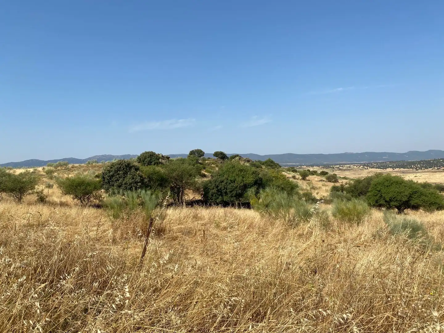 Grundstücke zum Verkauf in Aldeanueva de San Bartolomé