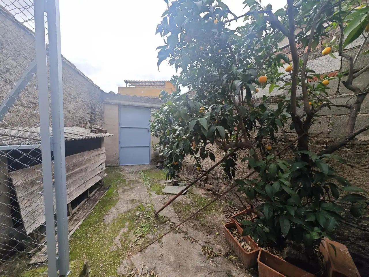 Garden of Houses for sale in Cañaveral