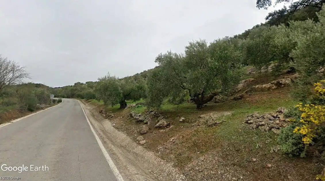 Terreny rústic en venda a Martos