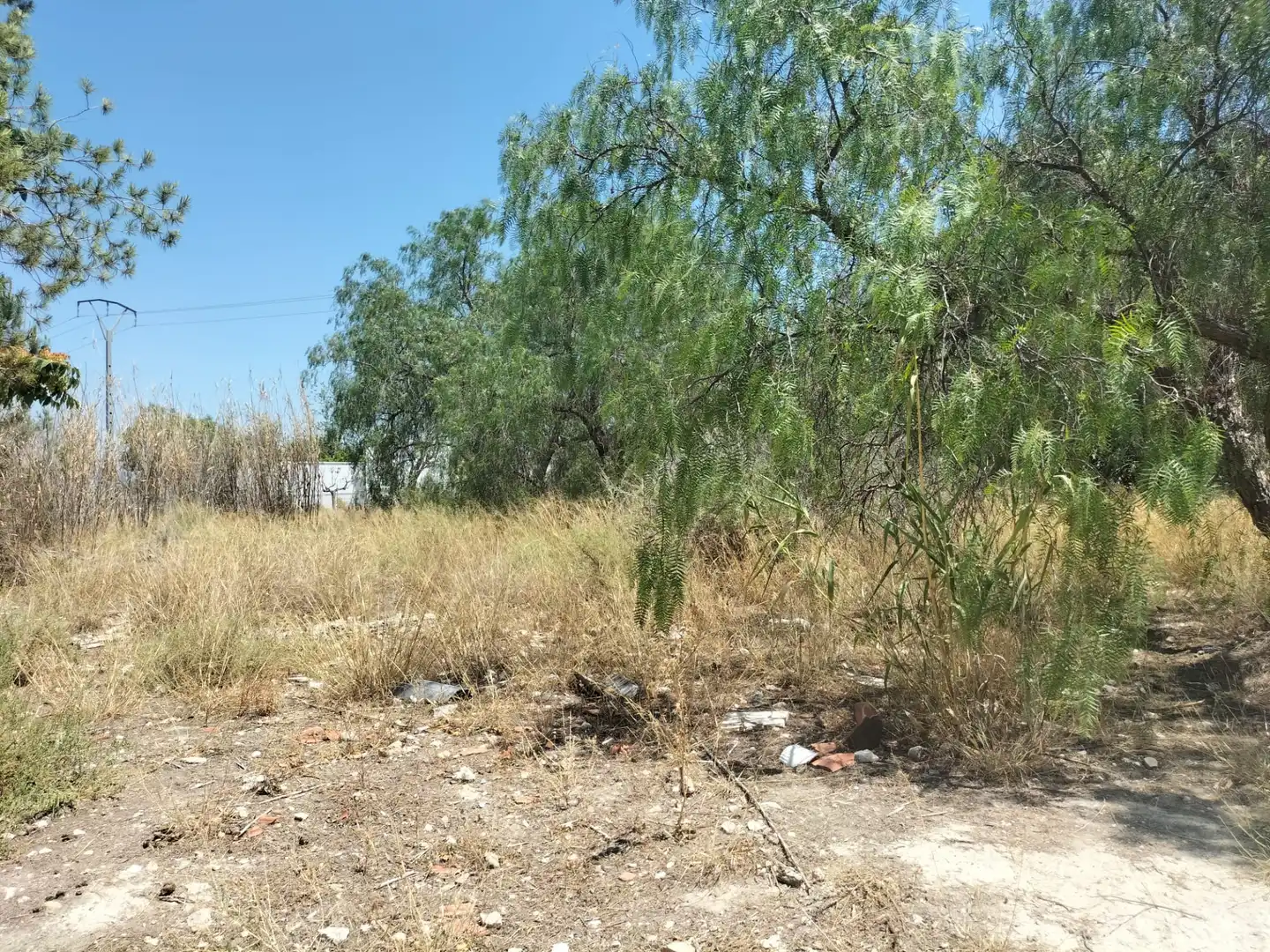 Casa o chalet en venta en Sax con Jardín privado, Terraza y Trastero