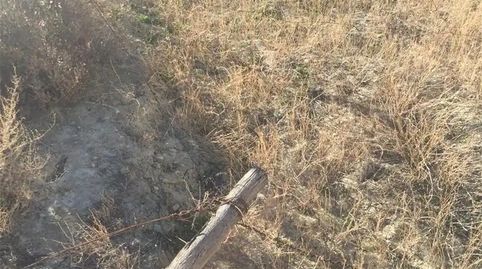 Foto 4 de Terreno en venta en Huécija, Almería