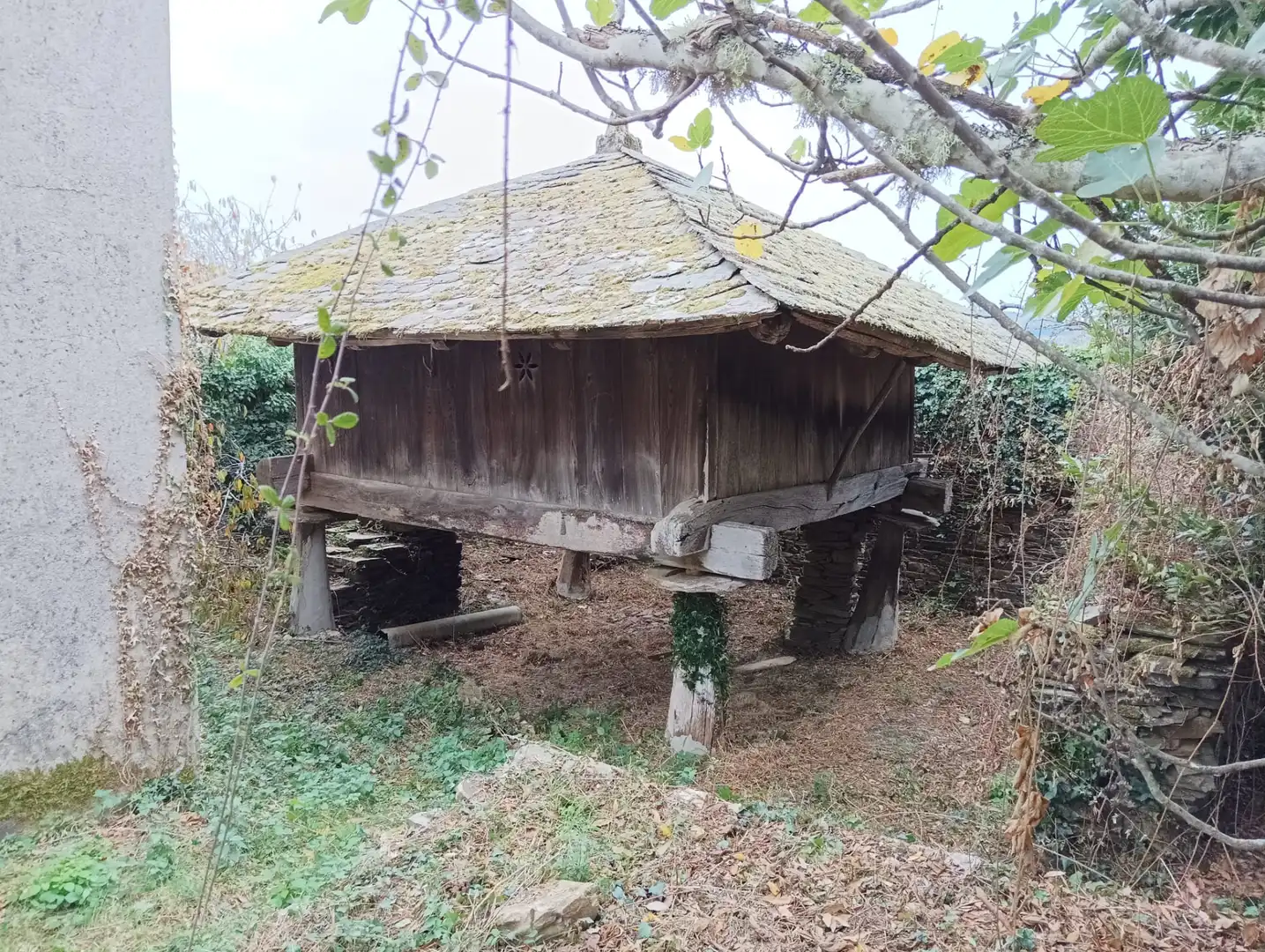 Vista exterior de Casa o chalet en venta en Navia de Suarna con Jardín privado, Terraza y Amueblado