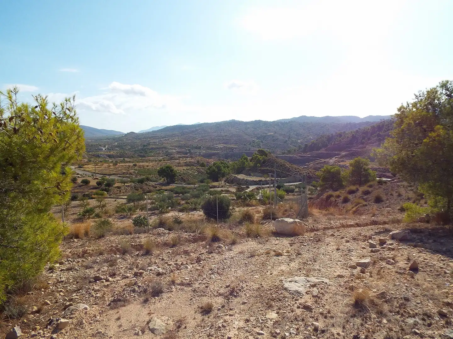 Lands and plots for sale in Abanilla, imagen 11