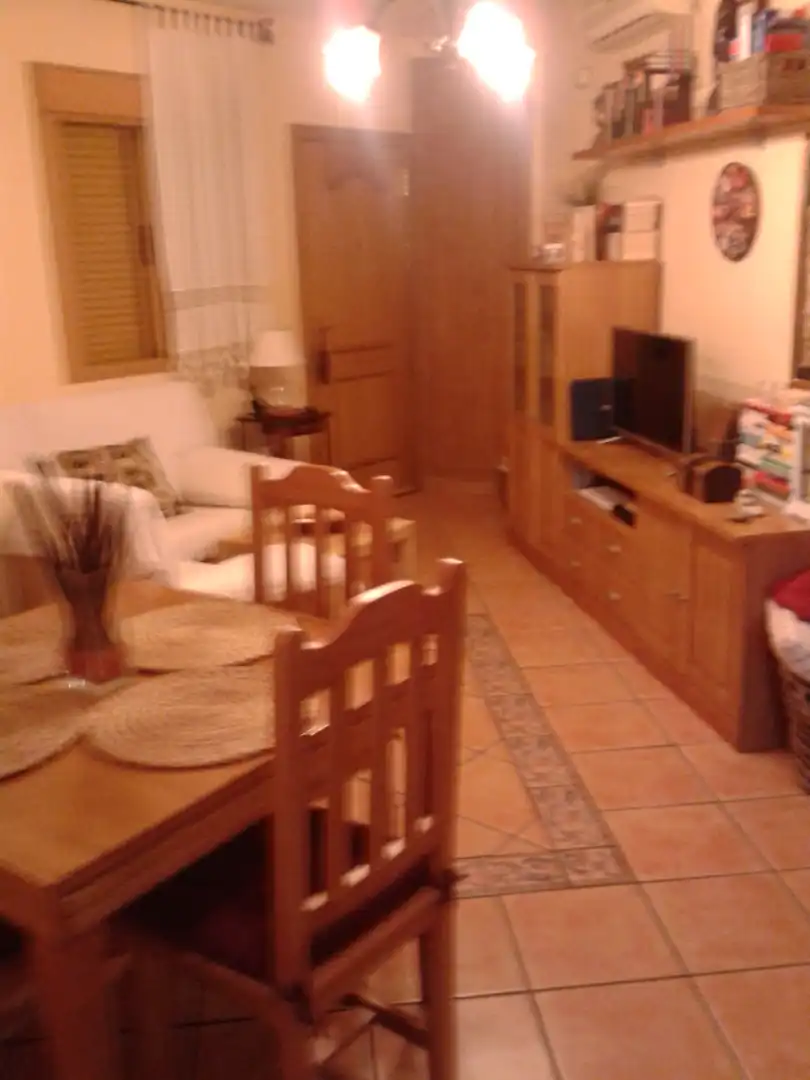 Sala d'estar de Apartament de lloguer en Málaga amb Aire condicionat, Calefacció i Moblat