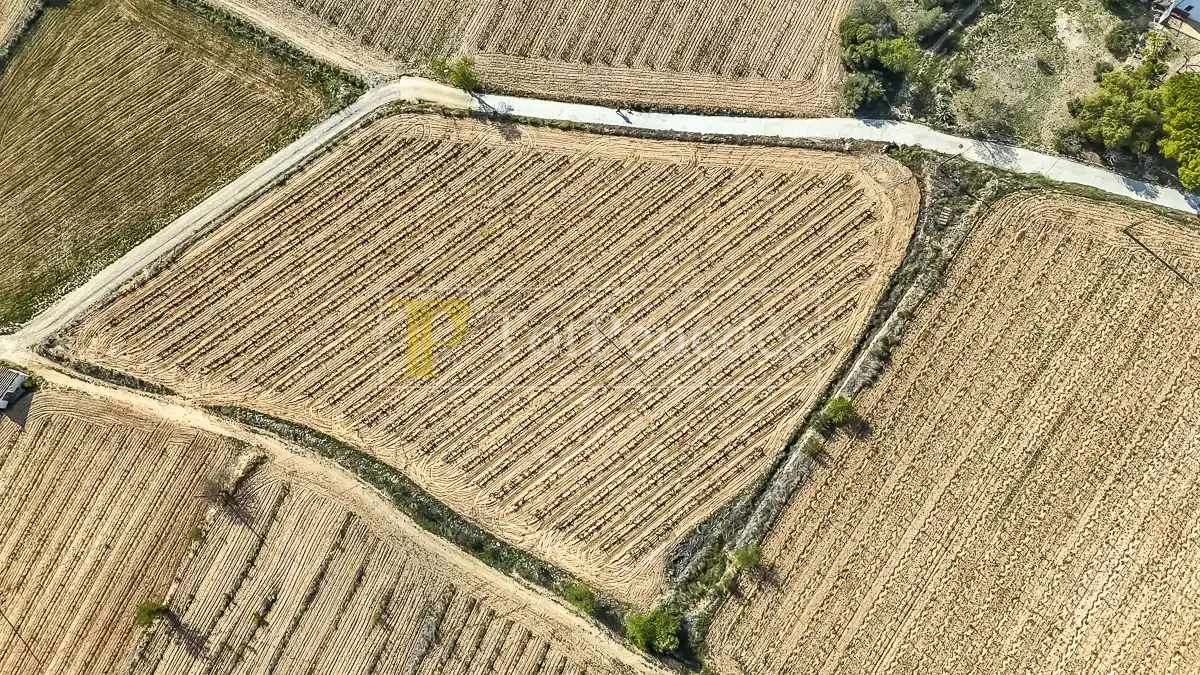 Terreny residencial en venda a Carrer de les Vinyes, imagen 16