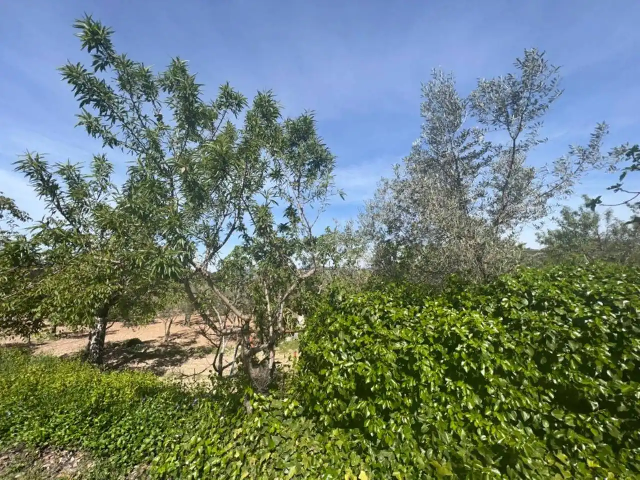 Chalet con jardín en venta en Calle Poligono, imagen 10