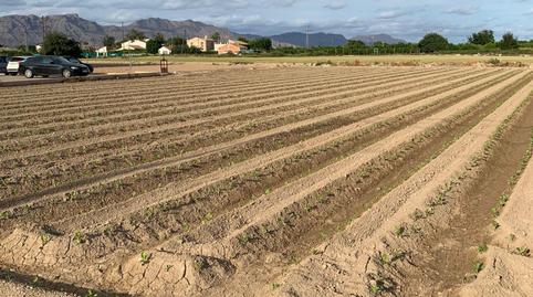 Foto 5 de Terreno en venta en Santa Cruz, Murcia