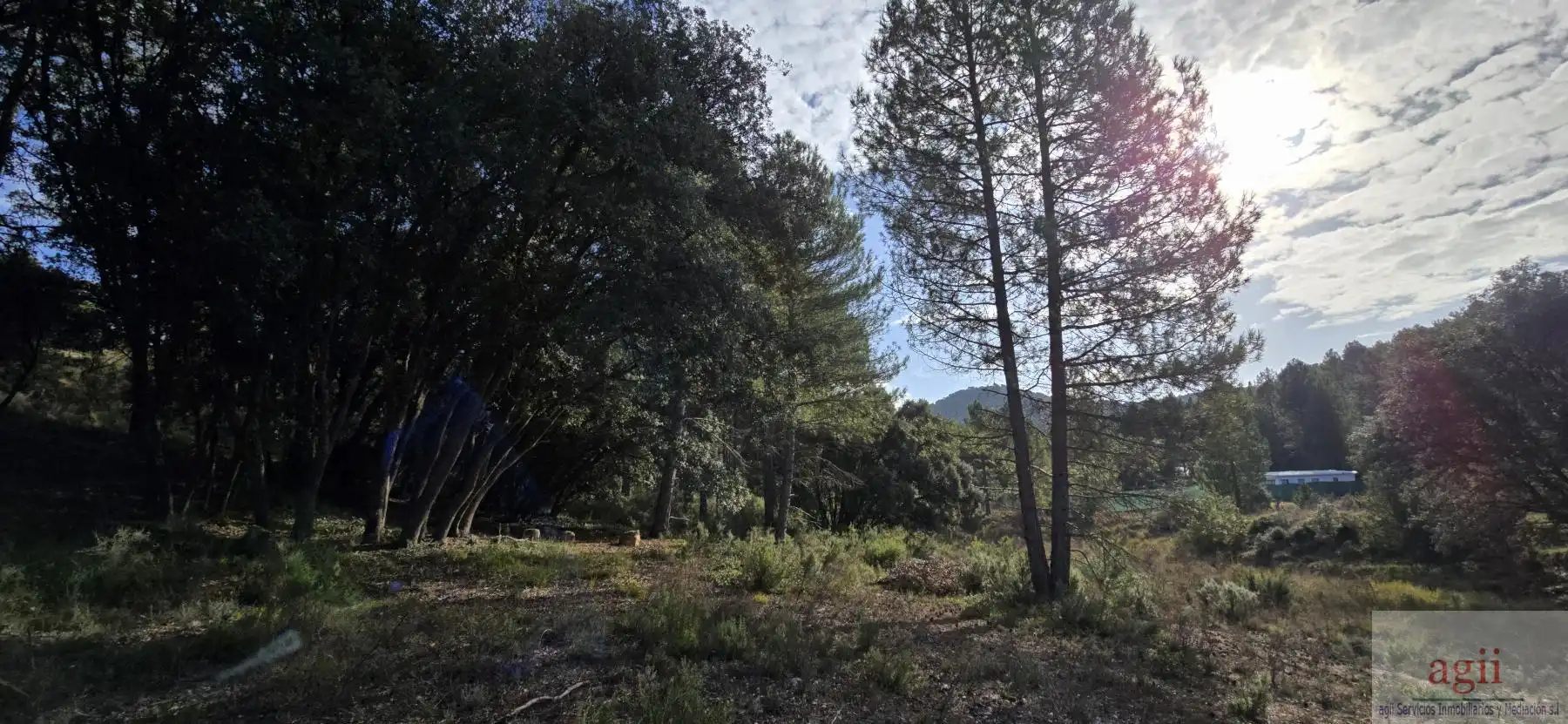Terrain résidentiel à vendre à Trillo, imagen 3