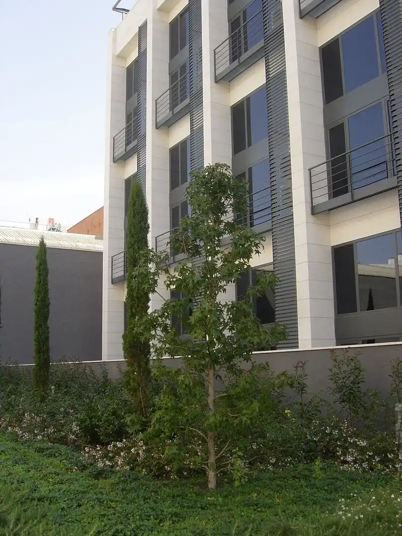 Loft mit Aufzug zur Miete in Calle de Miguel Yuste, imagen 29