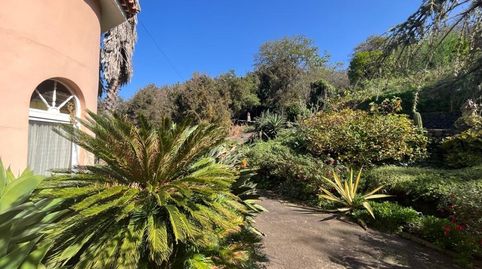 Foto 4 de Casa o xalet en venda a Centro, La Orotava