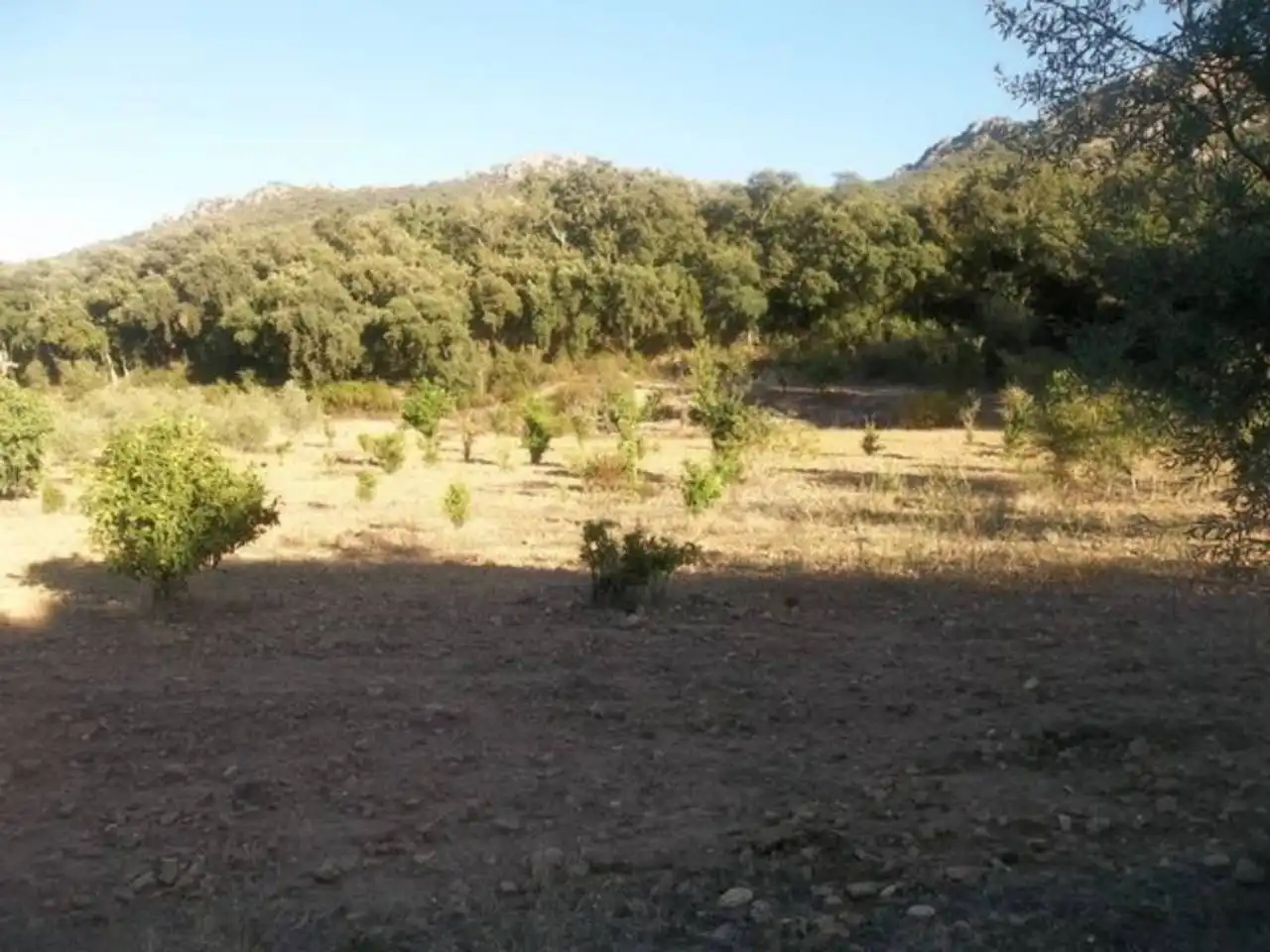 Terreno en venta en Navalvillar de Pela