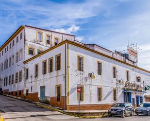 Exterior view of Industrial buildings for sale in Rosal de la Frontera