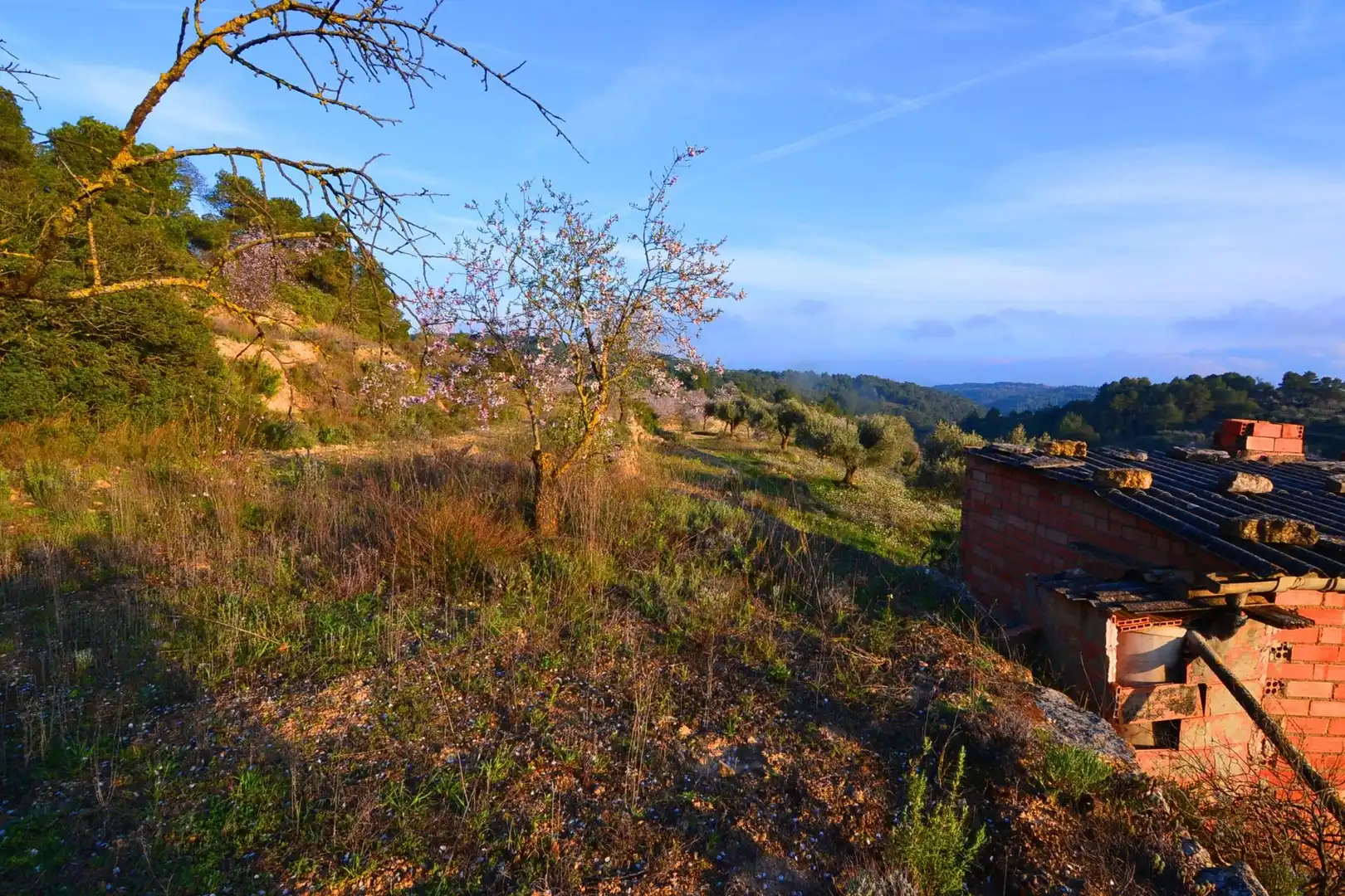 Rural land for sale in Corbera d'Ebre, imagen 63