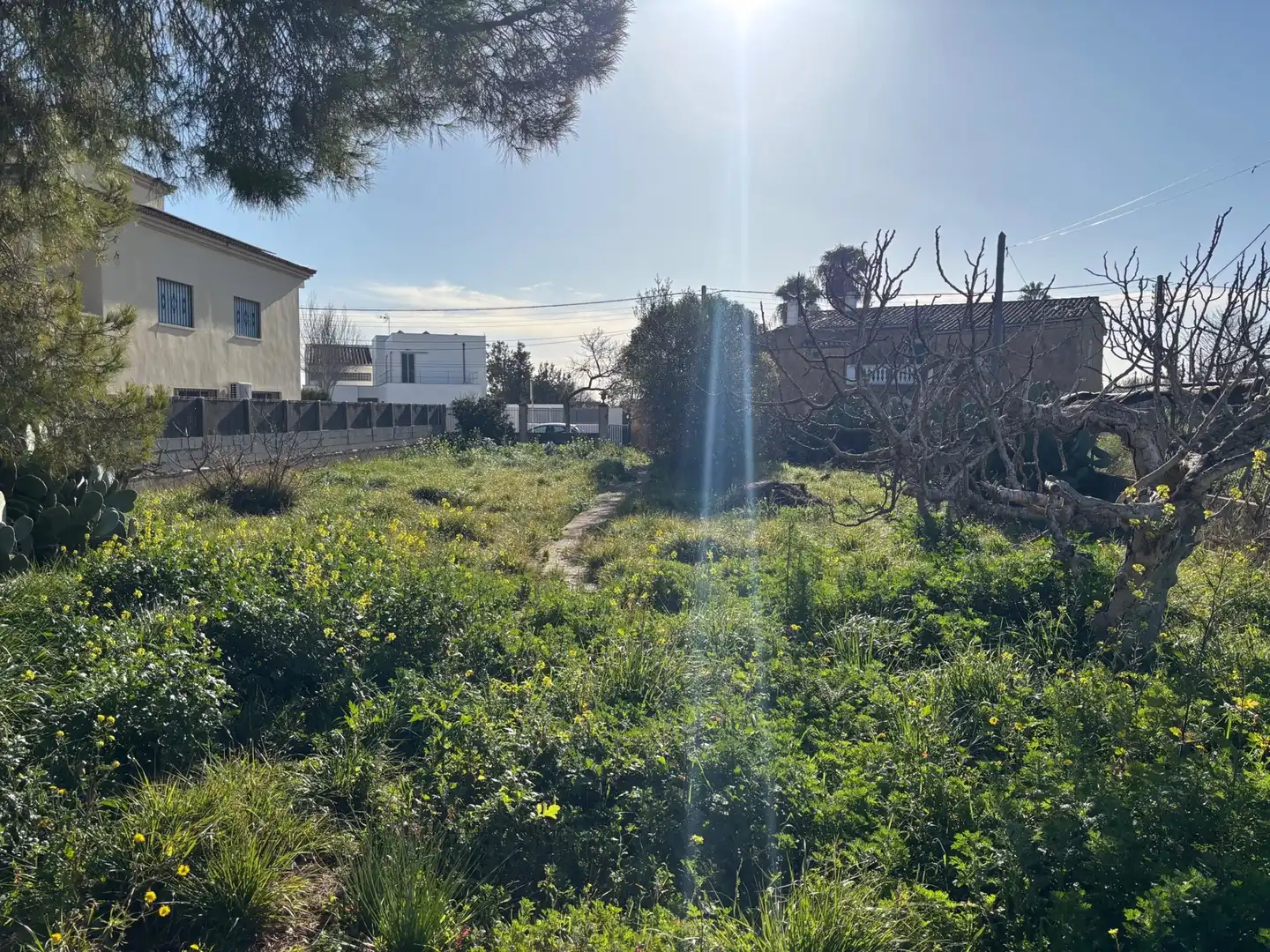 Residential zum Verkauf in  Palma de Mallorca