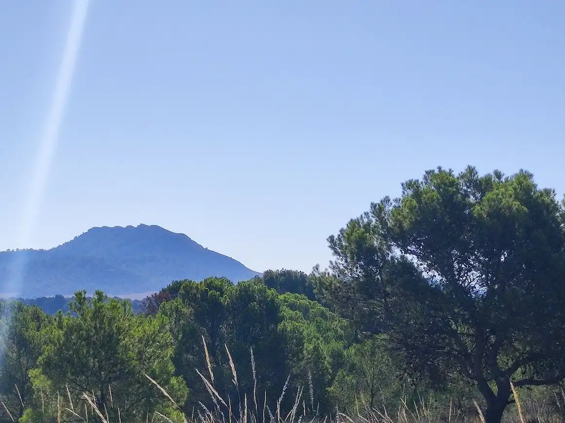 Vista exterior de Finca rústica en venda en Tobarra amb Jardí privat, Terrassa i Traster