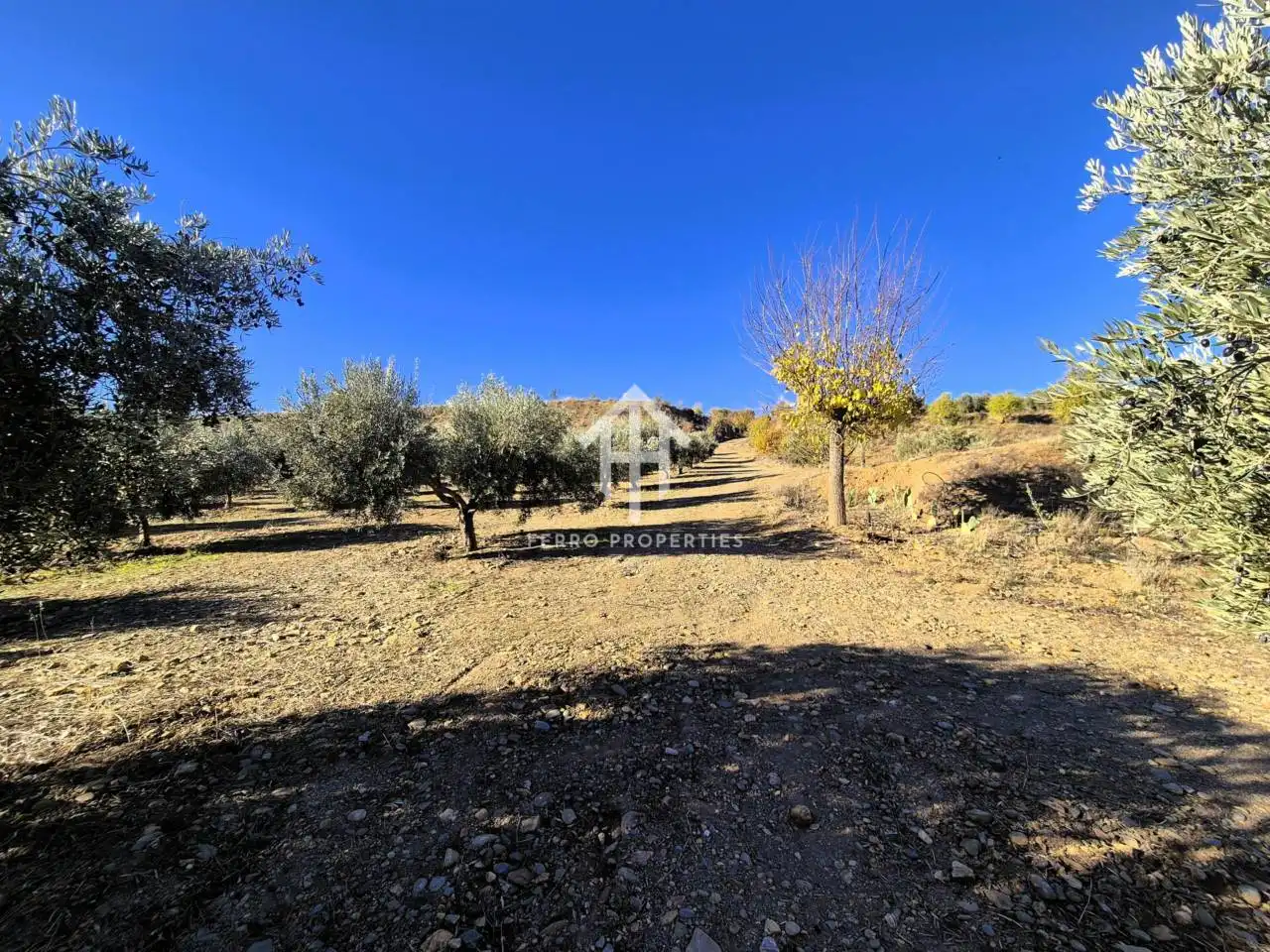 Lands and plots for sale in Lanteira, imagen 5