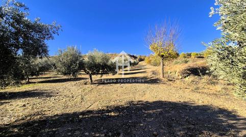 Photo 5 of Land for sale in Lanteira, Granada