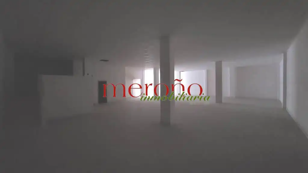 Commercial properties for rent in Elche / Elx