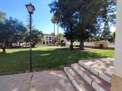 Vista exterior de Planta baixa en venda en Torrevieja amb Aire condicionat