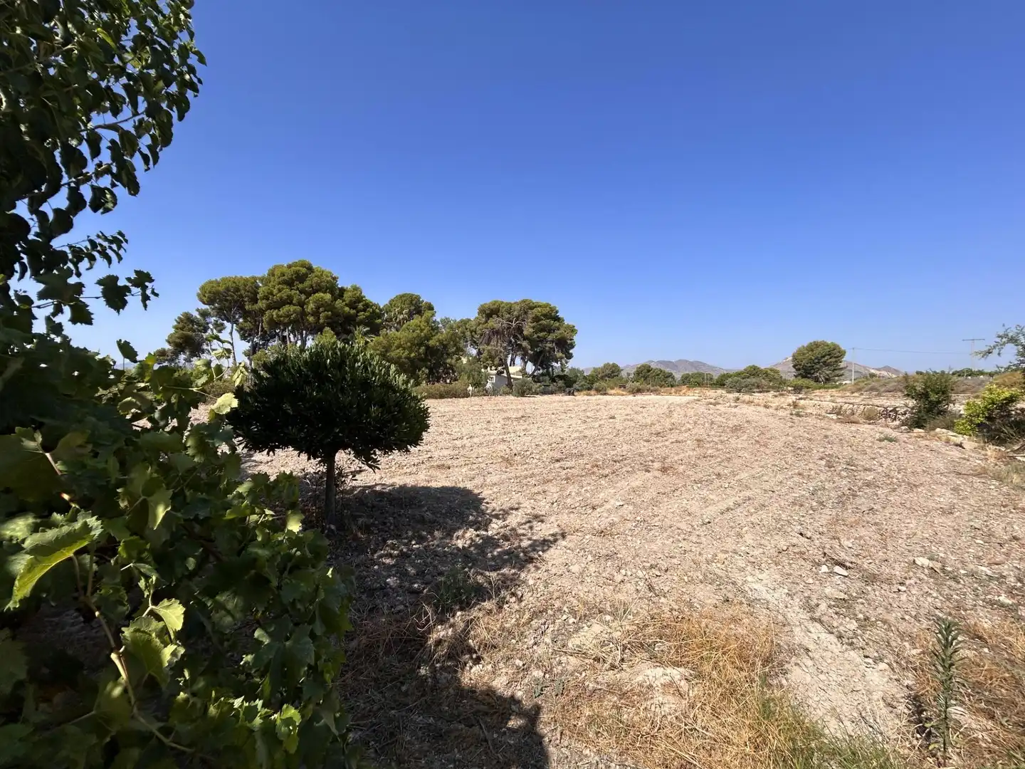 Houses for sale in Novelda  with Private garden, Terrace and Storage room