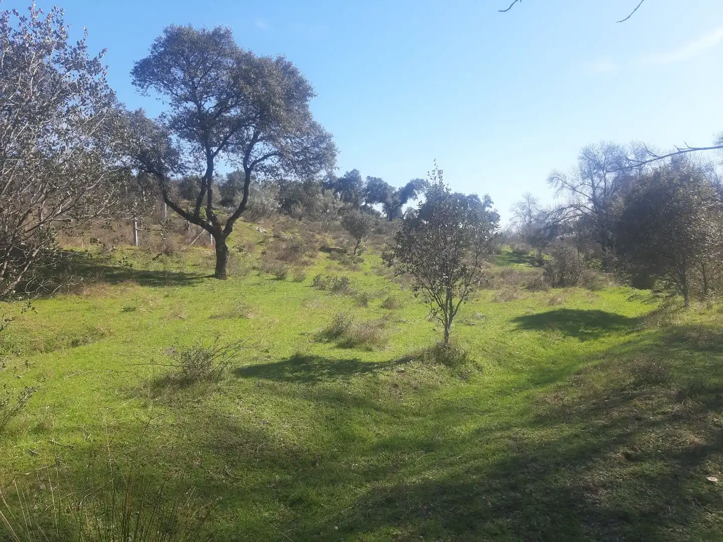 Terreno en venta en Mijares