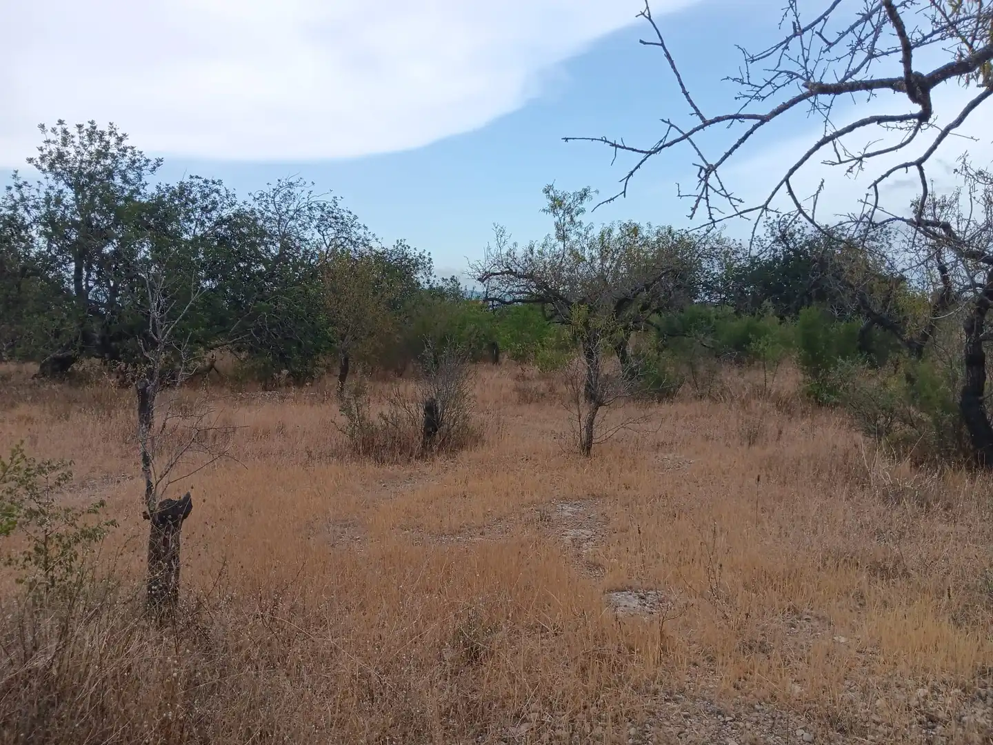 Lands and plots for sale in Roquetes, imagen 4