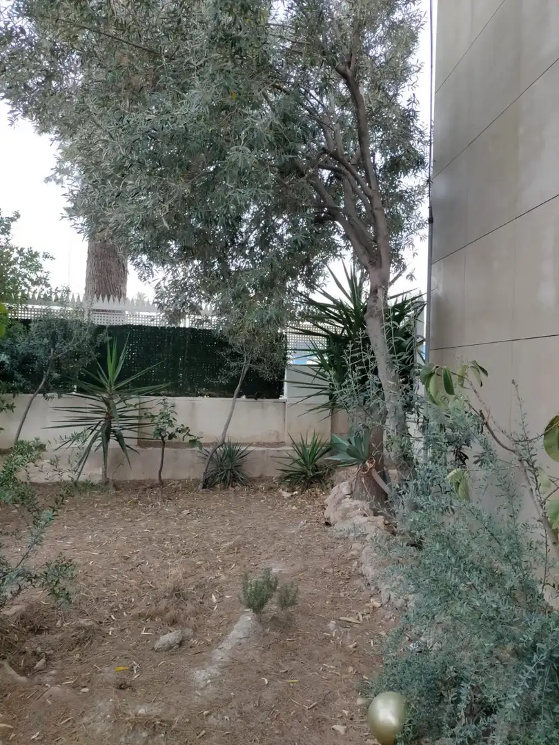 Casa amb jardí en venda a GARCÍA ROGEL, imagen 7