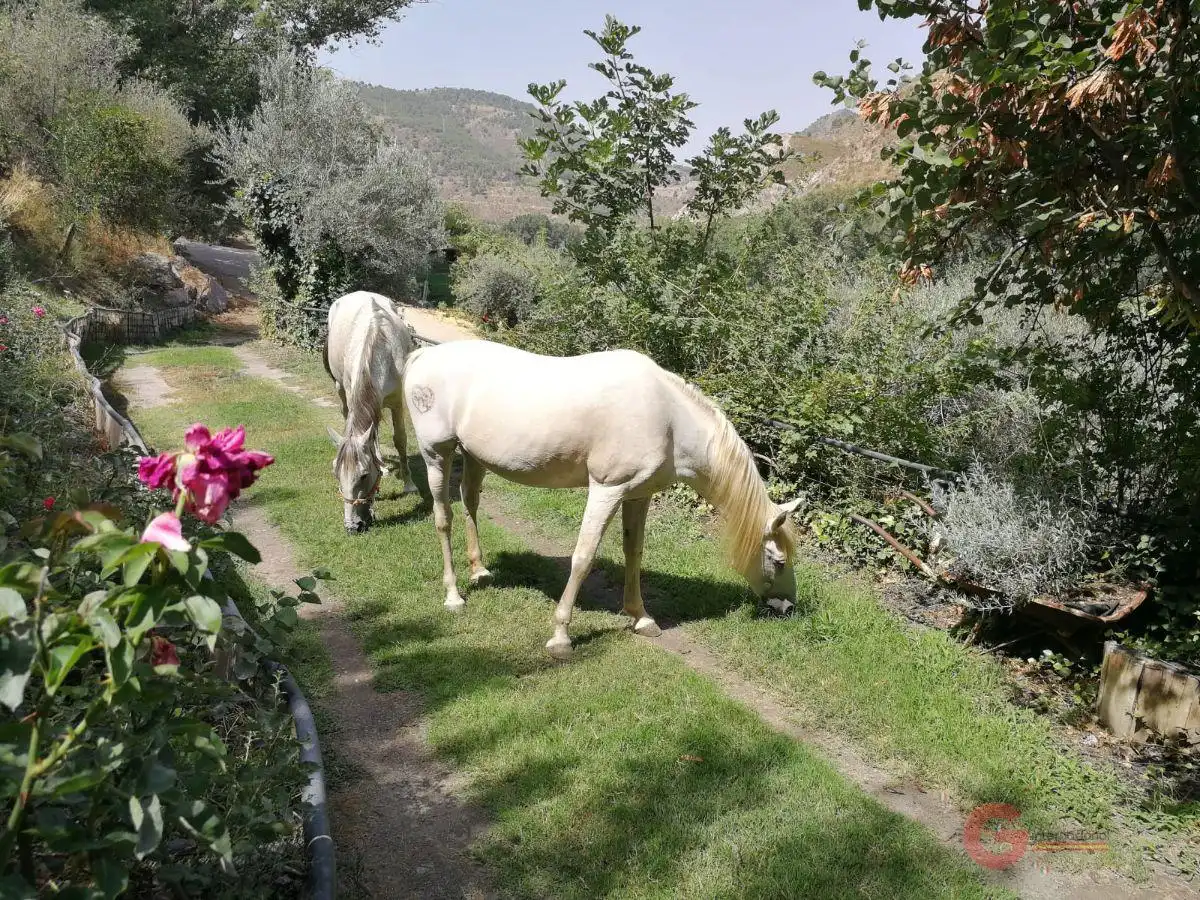 Villa avec piscine à vendre à Órgiva, imagen 21