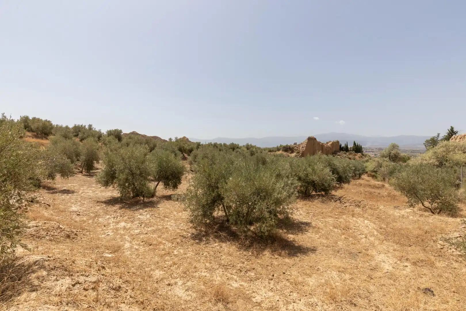 Terreni e lotti in vendita a Guadix, imagen 6