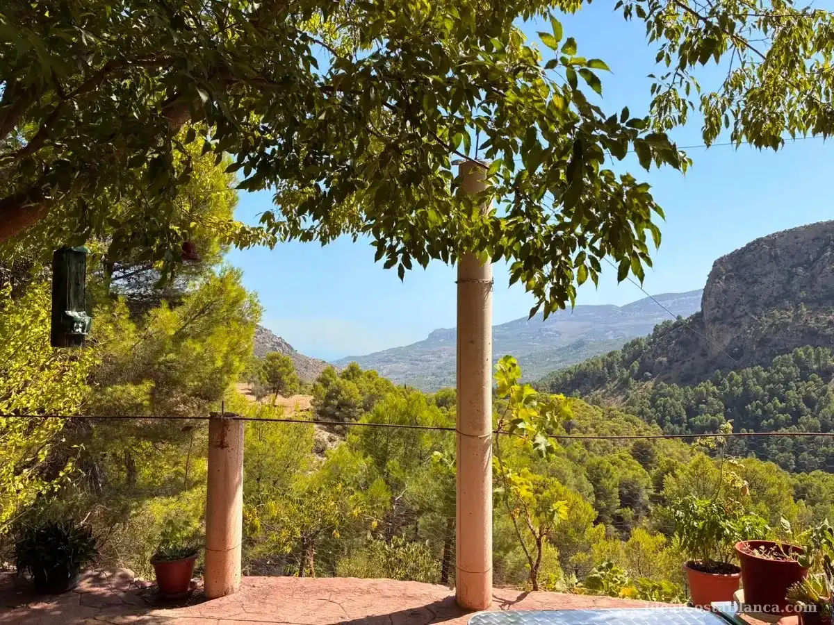 Maison rustique avec terrasse à vendre à DISEMINADOS 6 Polígono 2 Parcela 90 SOLANA., imagen 6