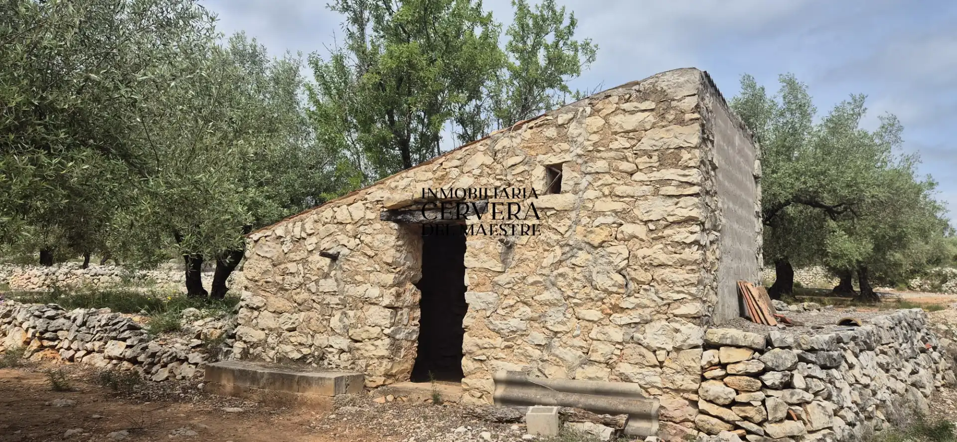 Terreno rustico in vendita a Cervera del Maestre, imagen 6