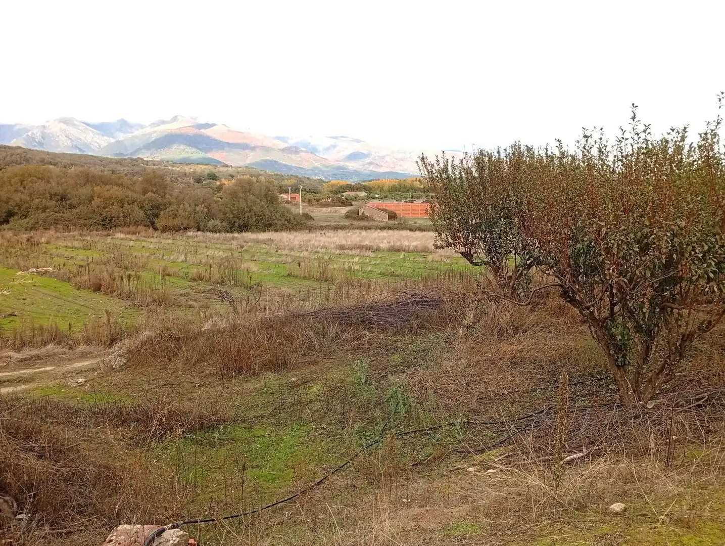Terreni e lotti in vendita a Villanueva de la Vera, imagen 5