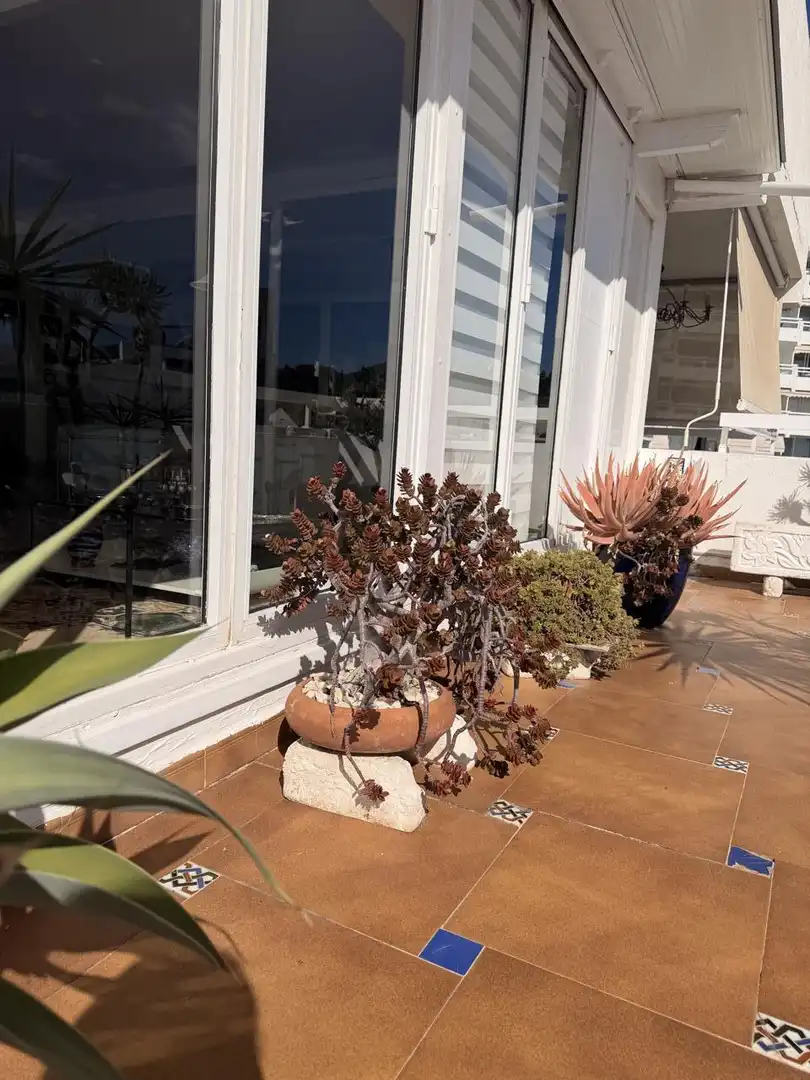 Terrace of Flat for sale in Adeje  with Air Conditioner, Terrace and Furnished