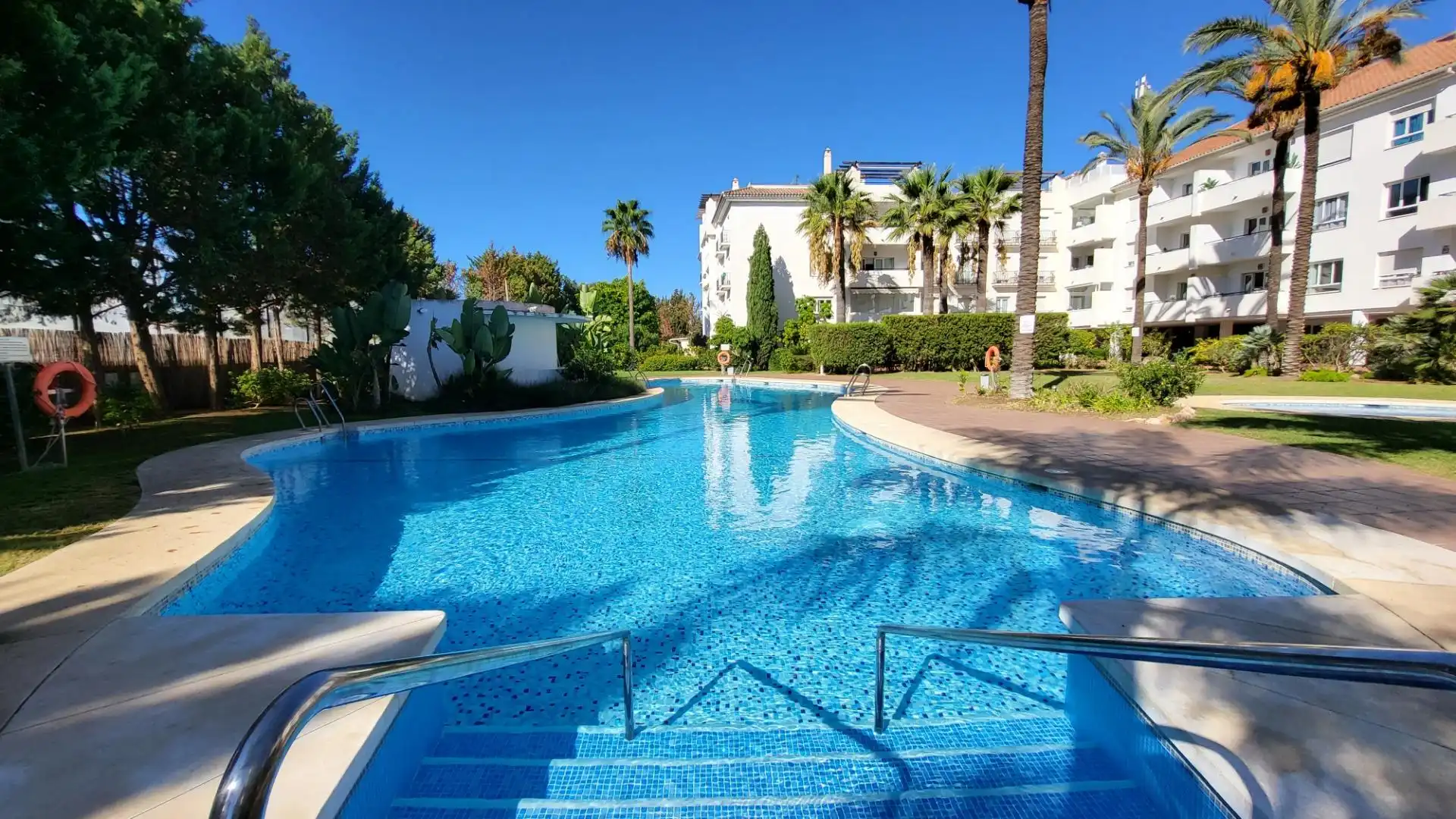 Swimming pool of Apartments for rent in Nueva Andalucía