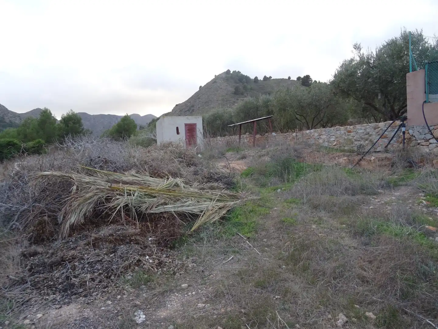 Casa rústica amb piscina en venda a Pedanías Oeste, imagen 45