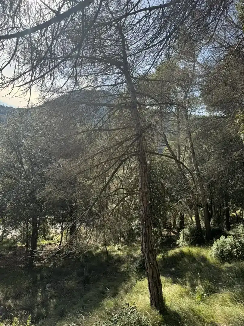 Residencial en venta en Sant Martí de Centelles