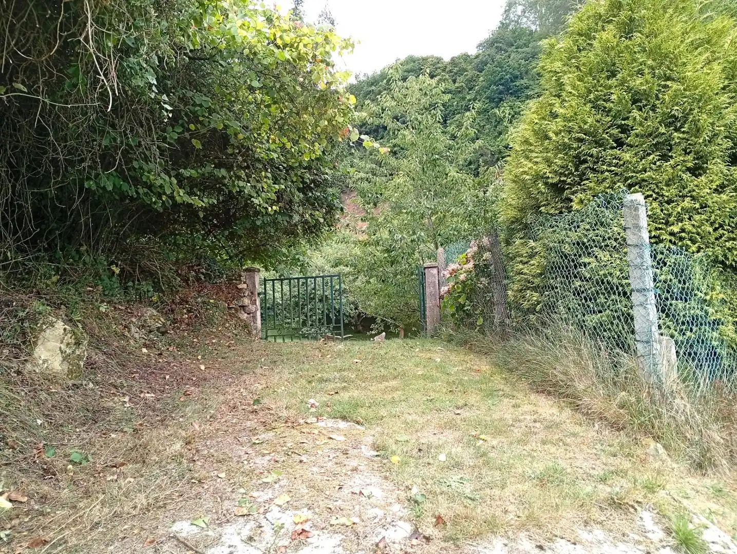 Terreny rústic en venda a Camín de la Xía 686, imagen 7