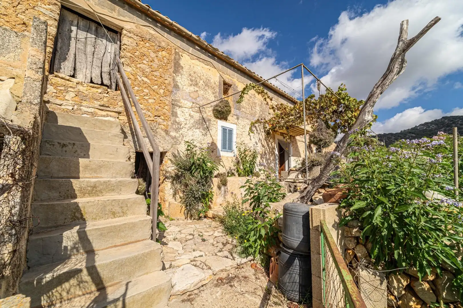 House with garden for sale in Manacor Centre, imagen 14