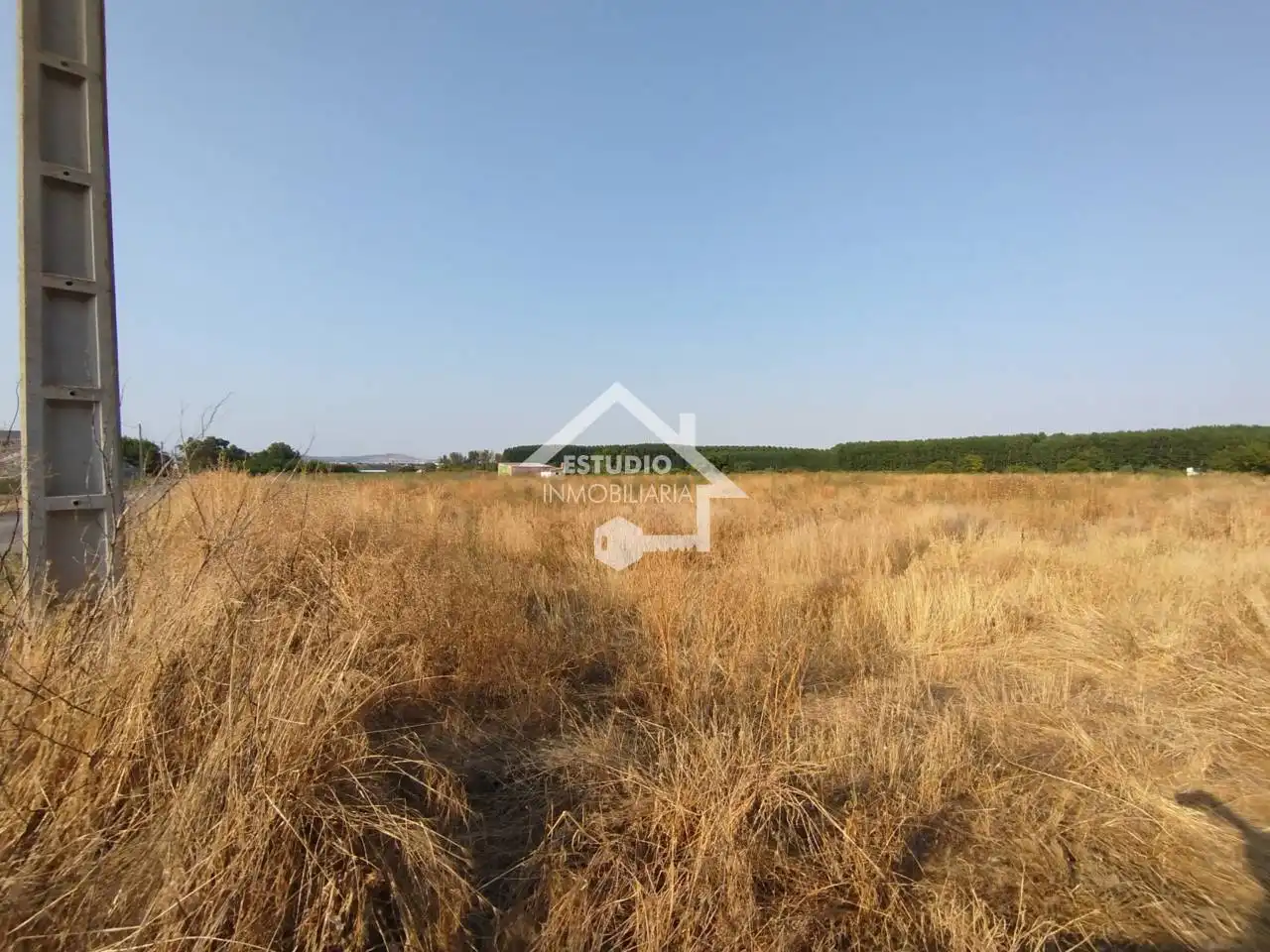 Rural land for sale in Viana, imagen 7