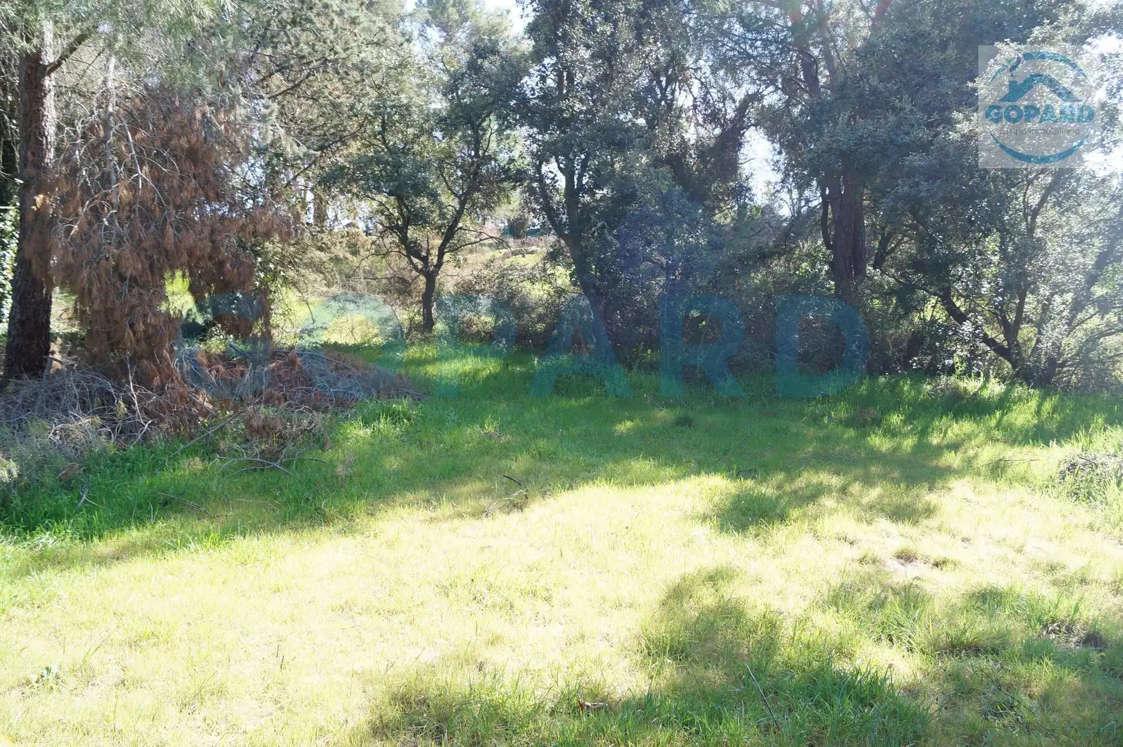 Residencial en venta en El Bosque