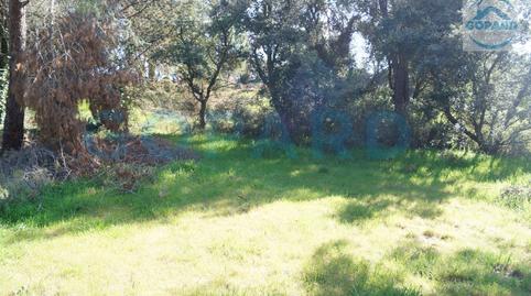 Foto 5 de Residencial en venda a El Bosque, Madrid