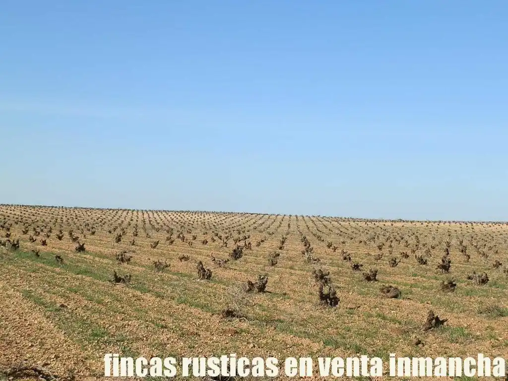 Terreni e lotti in vendita a Madridejos, imagen 3