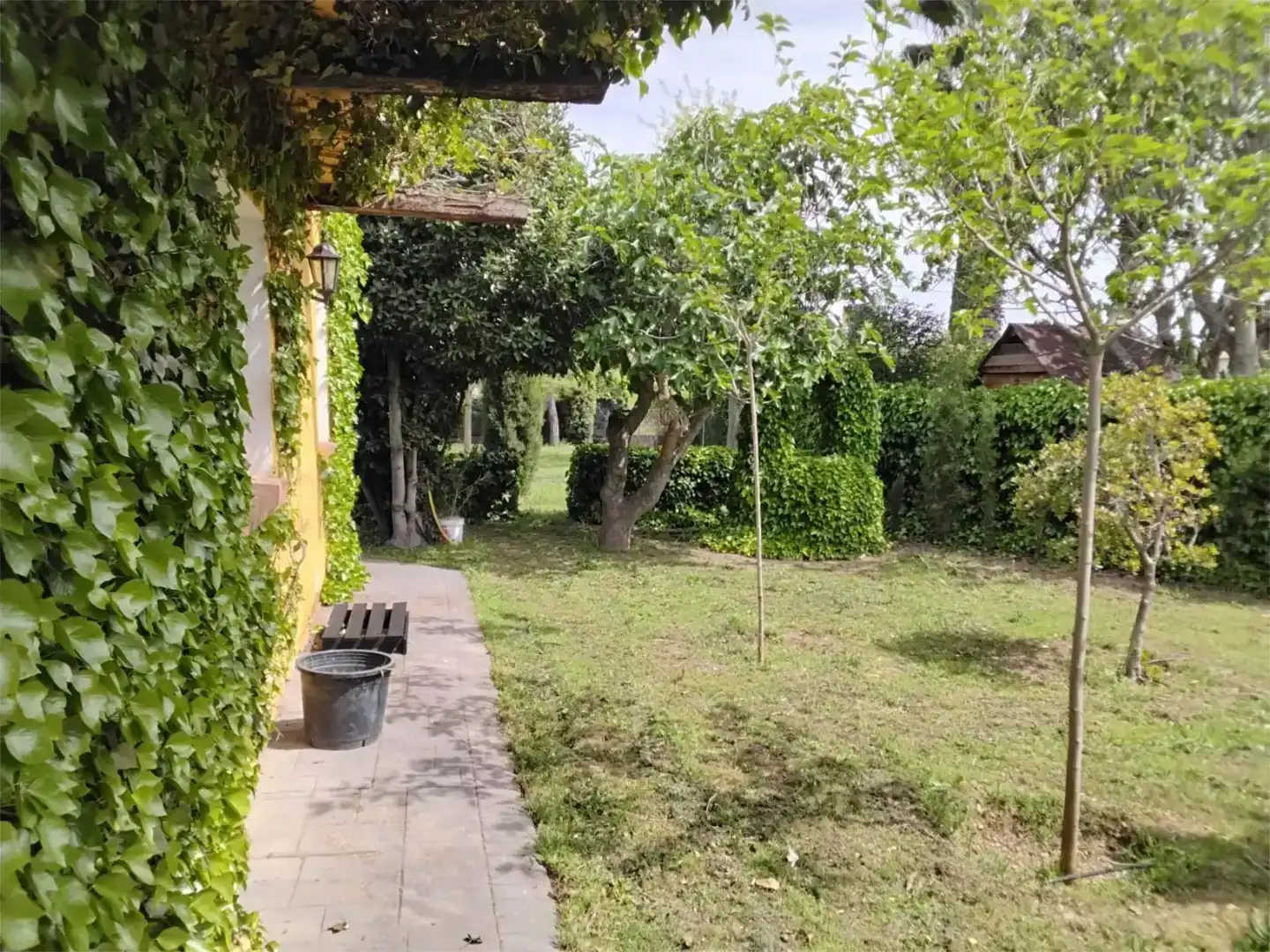 Jardí de Casa o xalet en venda en Miguelturra amb Piscina i Balcó