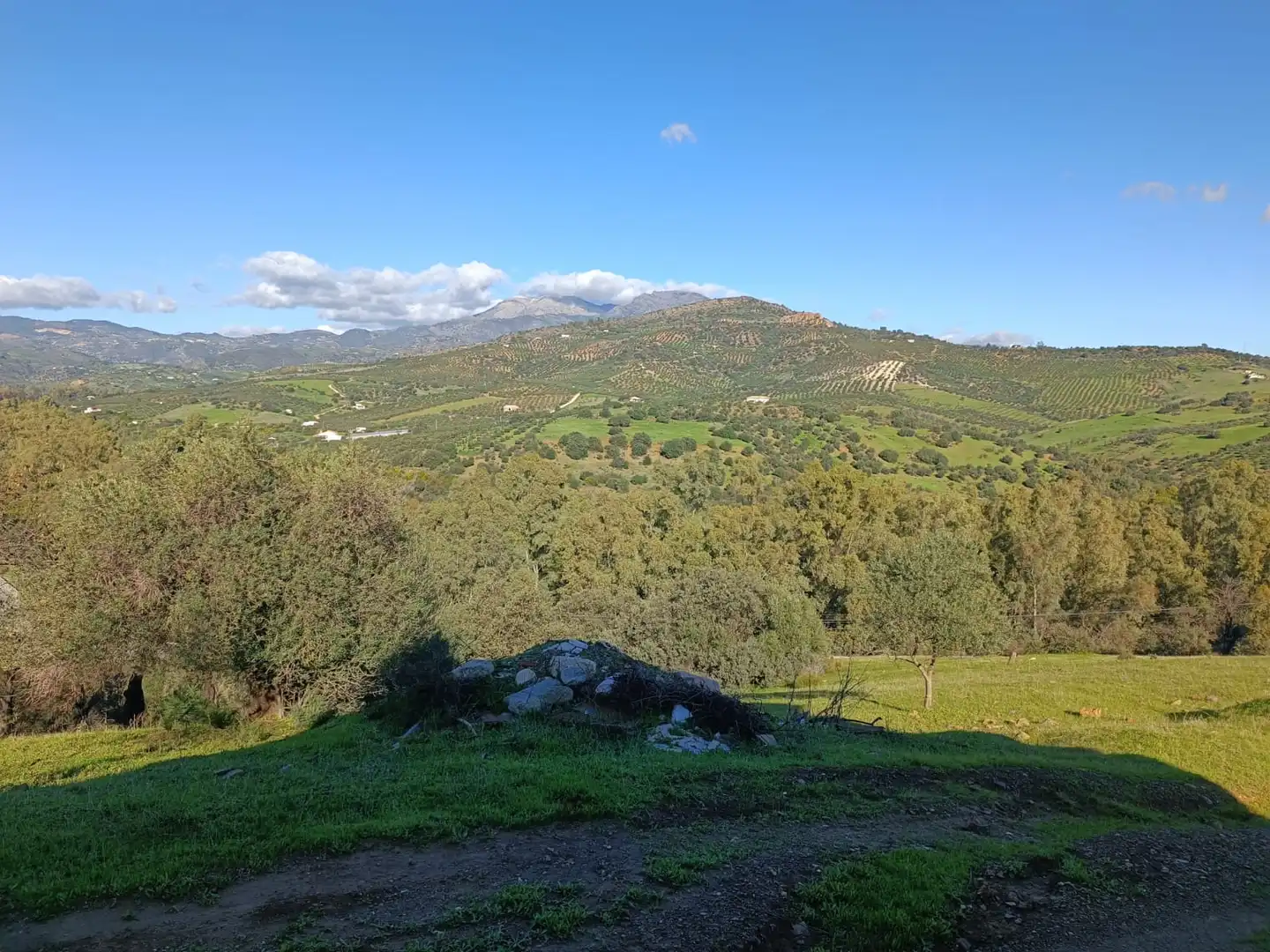 Exterior view of Houses for sale in Guaro  with Terrace, Storage room and Furnished