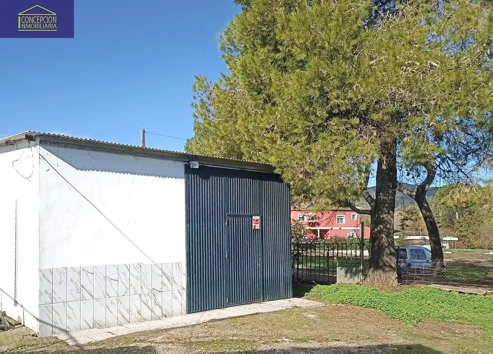 Villa avec piscine à vendre à Periurbano Este - Campiña, imagen 16