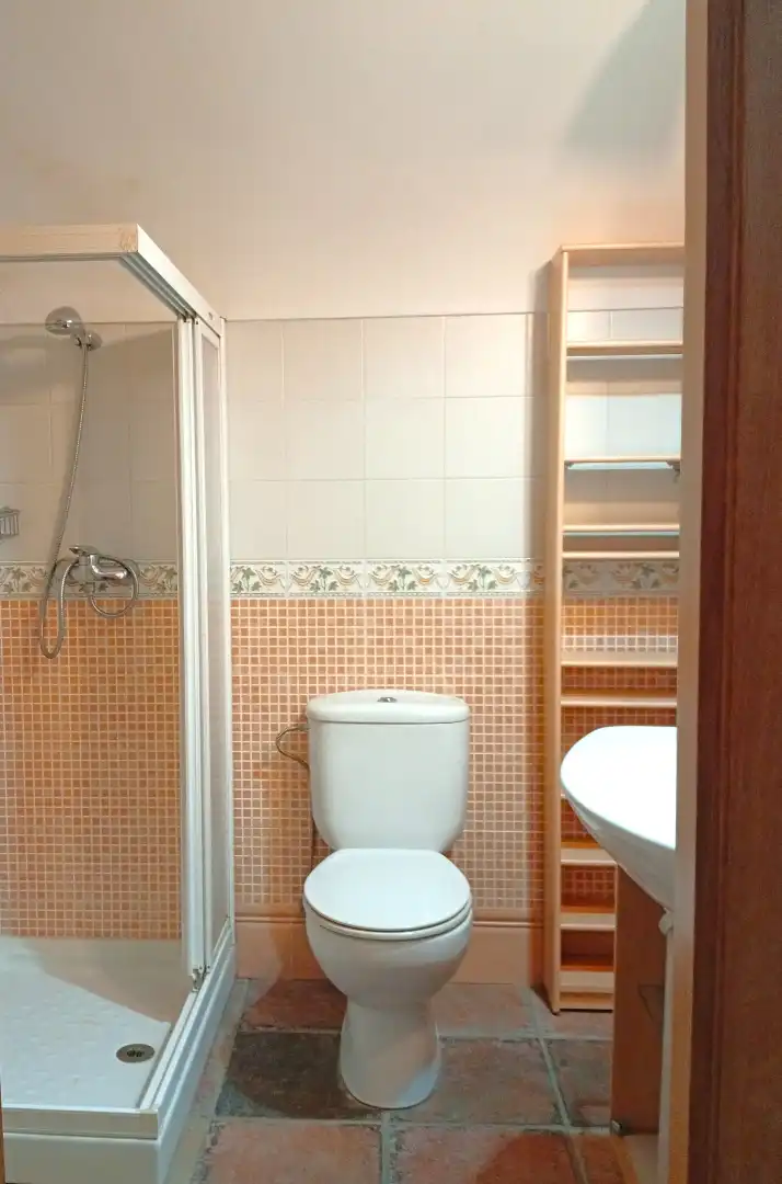 Casa o xalet en venda a Carrer de Sant Esteve, 14, Sant Aniol de Finestres