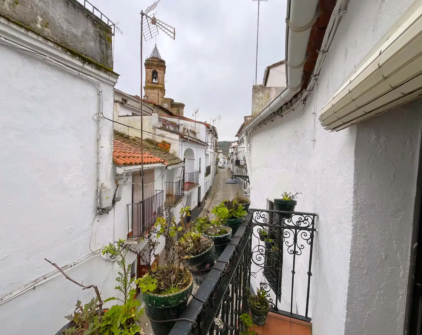 Finca rústica en venta en Calle Martínez Chaparro, 6, Galaroza