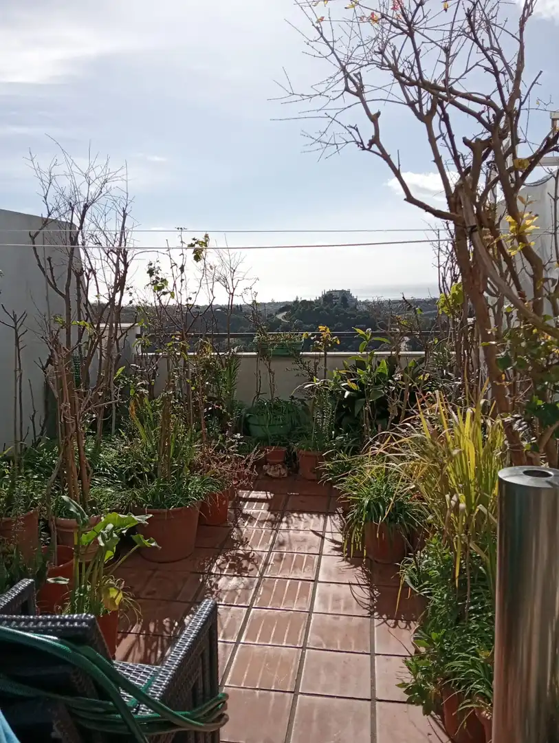 Terrace of Duplexes for sale in Estepona  with Terrace, Swimming Pool and Internet