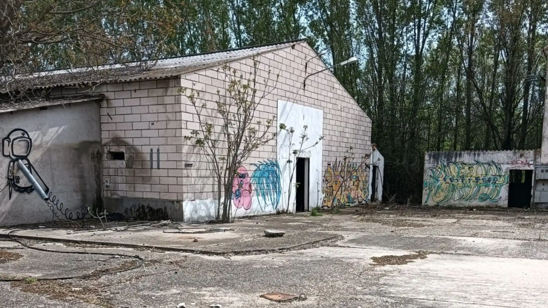 Nave industrielle à vendre à Estación - Los Manantiales, imagen 12