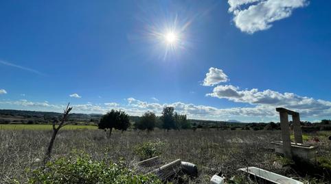 Photo 4 of Country house for sale in Carrer Poligono 7 Parcela 199, Llubí, Illes Balears